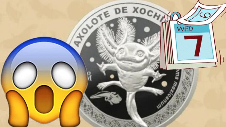 Nueva moneda del AJOLOTE grabado ya tiene fecha de lanzamiento