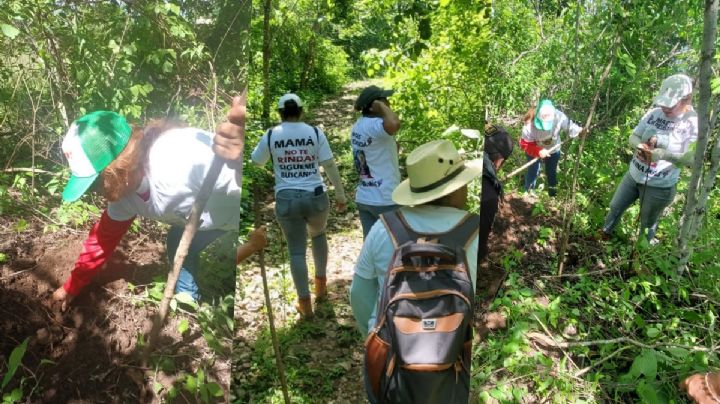 “No estamos libres de la violencia": Madres buscadoras chiapanecas buscan a joven desaparecido por comando