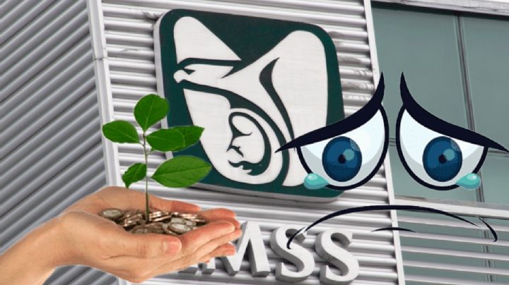 Tips para que el IMSS no te quite tu Afore