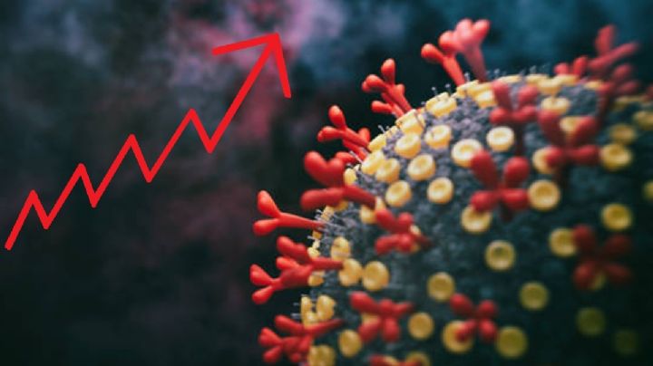 Ola covid de finales de verano, la nueva alerta mundial