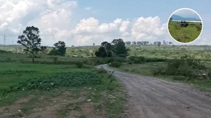 Jauría de perros ataca y mata a un hombre en Acámbaro