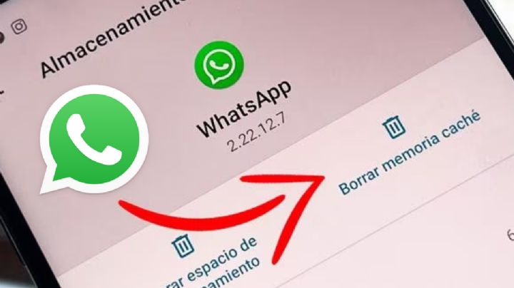 Así puedes LIBERAR espacio en WhatsApp con este botón secreto