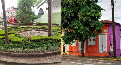 Xallitic o La Huaca, ¿cuál es el nuevo Barrio Mágico de Veracruz?