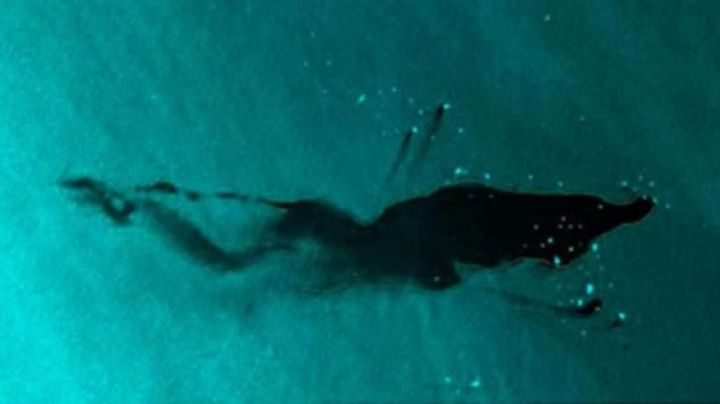 Megaderrame de crudo en Sonda de Campeche ya abarca 467 km: alerta UNAM