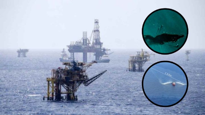 UNAM alerta por derrame de petróleo en Campeche; llegaría a Veracruz