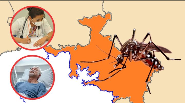 En estos cinco municipios de la Huasteca hay contagios de dengue; dos son graves