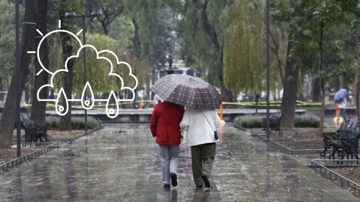 ¿Cómo estará el clima en Veracruz este lunes 24 de julio?