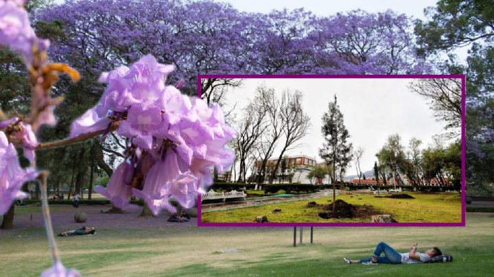 Así será la rehabilitación del Jardín de los Hombres ilustres en Plaza Juárez, Pachuca