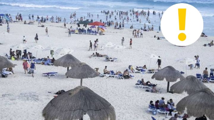 Alertan sobre 3 estafas que podrían dejarte sin dinero en estas vacaciones