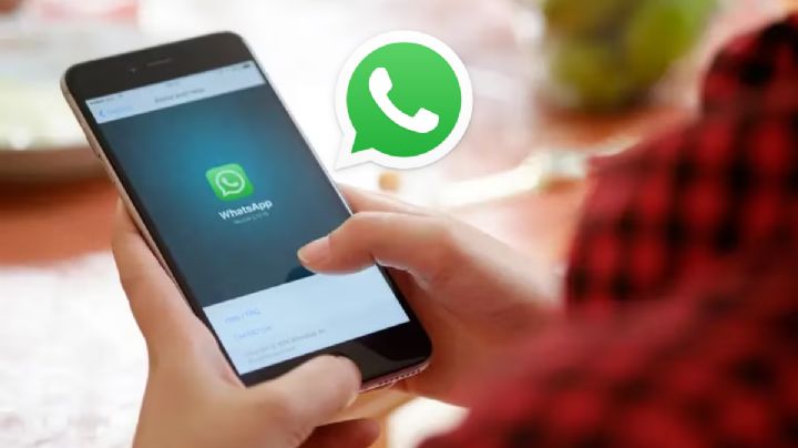 ¿Te enojaste y borraste todo? Así puedes recuperar conversaciones en WhatsApp