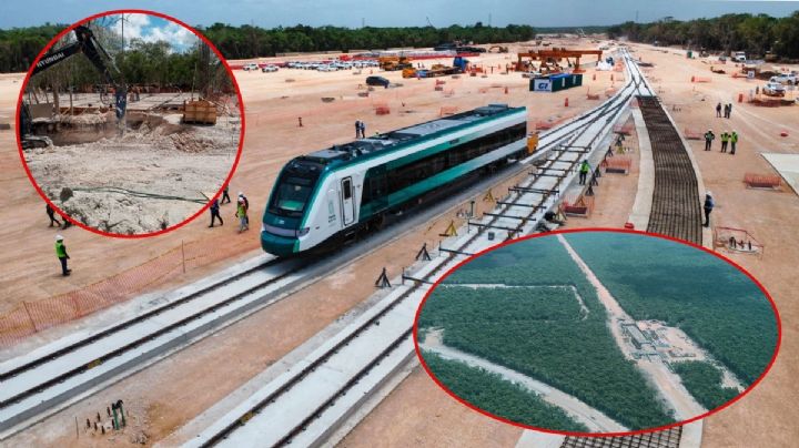 Tren Maya: Tramo 5, entre explosiones y muerte de jaguares