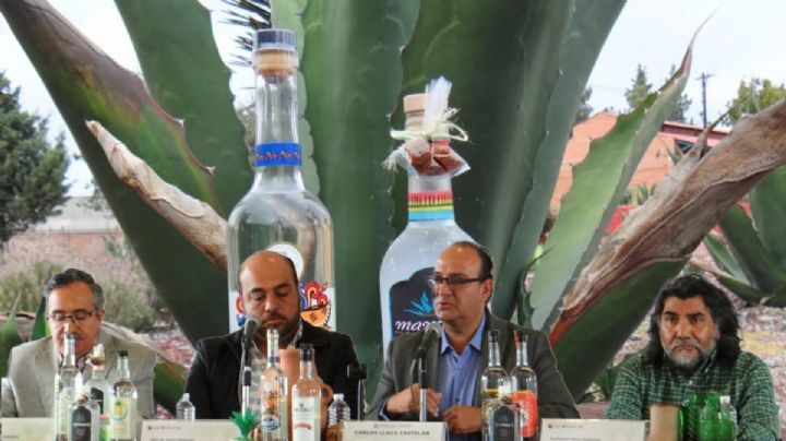 Llevan el pulque a otro nivel, este es el festival de destilados en Hidalgo