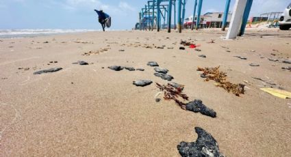 Derrame de petróleo amenaza a tortuga Lora y manglares en Tamaulipas