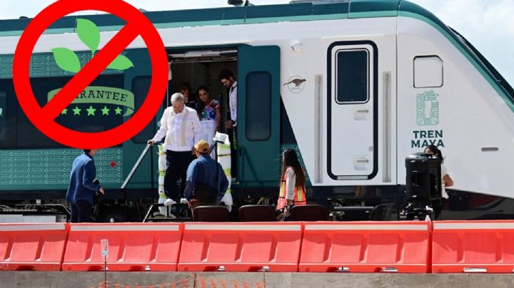 Tren Maya: AMLO comete ecocidio y etnocidio, determina Tribunal Internacional