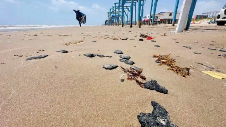 Derrame de petróleo amenaza a tortuga Lora y manglares en Tamaulipas