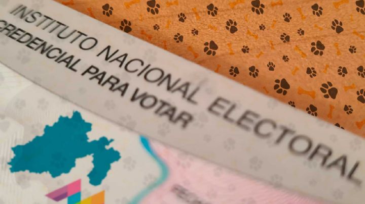 Acta de identidad para mascotas en el Estado de México