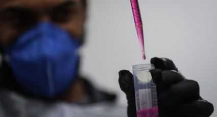 Hepatitis más mortal que Sida, Malaria y Tuberculosis en 2024 si no se controla: OMS