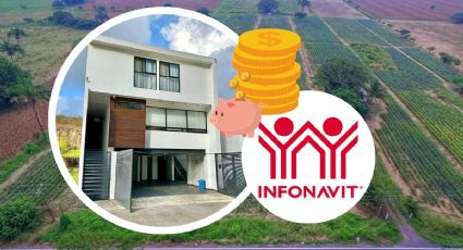 Compra de casa en Veracruz: ¿Cómo consultar mis puntos de crédito Infonavit?