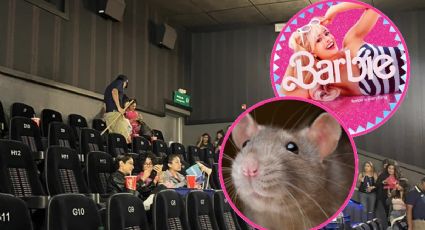 Rata interrumpe película de Barbie en sala de cine