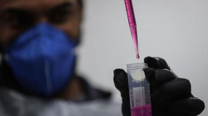 Hepatitis más mortal que Sida, Malaria y Tuberculosis en 2024 si no se controla: OMS