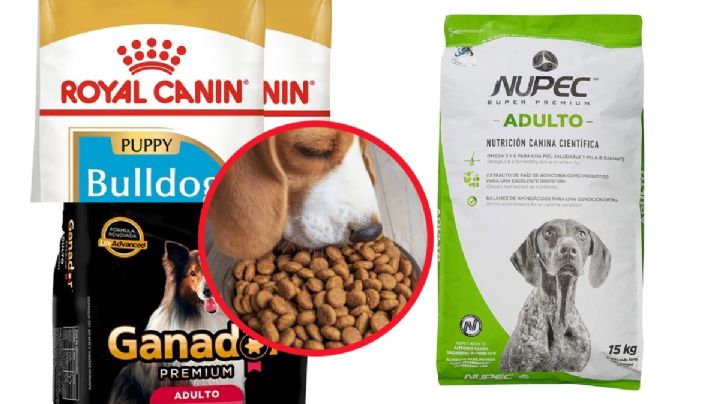 Estas son las croquetas de perro que piensas son las mejores, pero te "mienten"