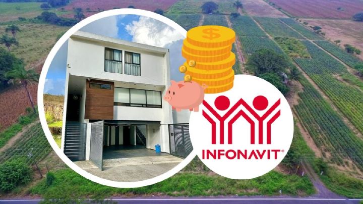 Compra de casa en Veracruz: ¿Cómo consultar mis puntos de crédito Infonavit?