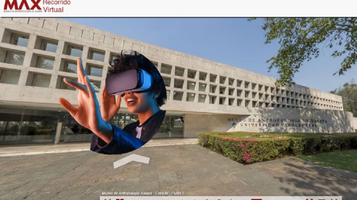 Recorrido virtual del Museo de Antropología de Xalapa estas vacaciones ¿Qué encontrarás?
