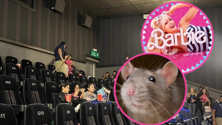 Rata interrumpe película de Barbie en sala de cine