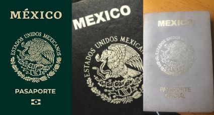 ¿Tu pasaporte es color verde y deseas salir del país? Checa esto