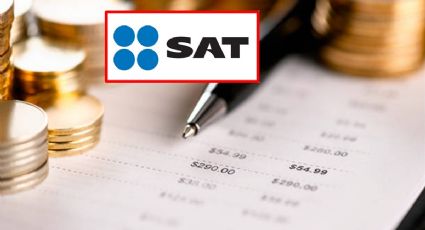 ¿Quién SÍ y quién NO debe declarar impuestos ante el SAT?