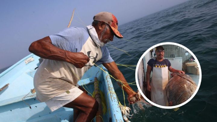 Capuran enorme pez cherna de más de 100 kilos en Catemaco