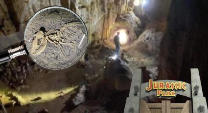 Como en Parque Jurásico, encuentran fósiles en cueva de Hidalgo | FOTOS