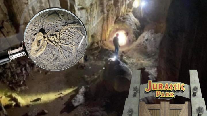 Como en Parque Jurásico, encuentran fósiles en cueva de Hidalgo | FOTOS