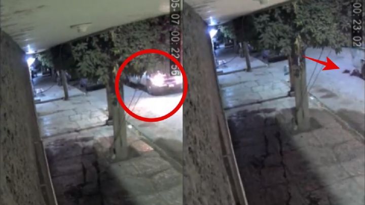 ¡Inhumano!: Camión de la CFE atropella a perro en Torreón; ni siquiera lo ayudo (VIDEO)