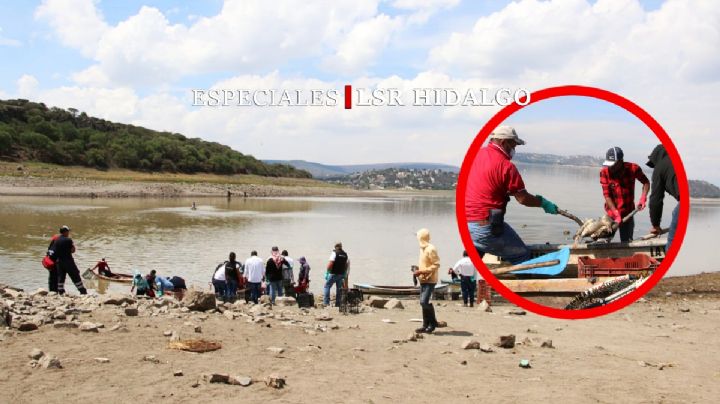 La tragedia de la Presa Requena: de vasto caudal a charco de agua