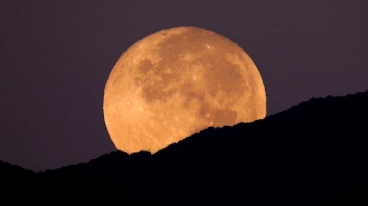 Primera SUPERLUNA de agosto: ¿A qué hora y dónde VER este fenómeno astronómico?
