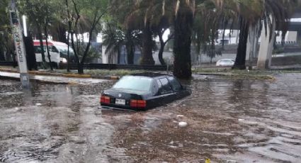 VIDEO | Tromba azota Naucalpan; autos flotan por inundaciones