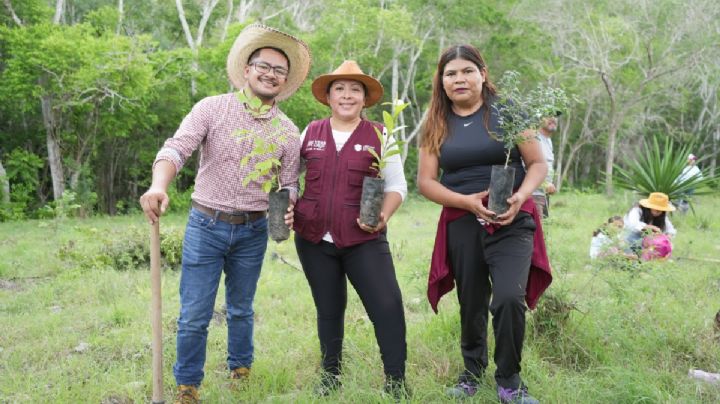 Emiliano Zapata se suma al Día Mundial del Medio Ambiente con reciclaje y reforestación