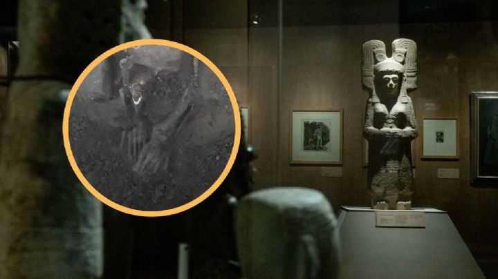 Encuentran vestigios humanos en Álamo Temapache, al norte de Veracruz