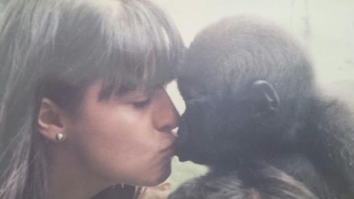 El zoológico de Chapultepec ya cumplió su papel: Marielena Hoyo