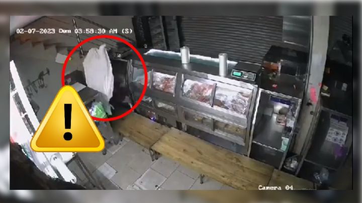 VIDEO: Así fue cómo un "fantasma" robó carnicería de Guanajuato