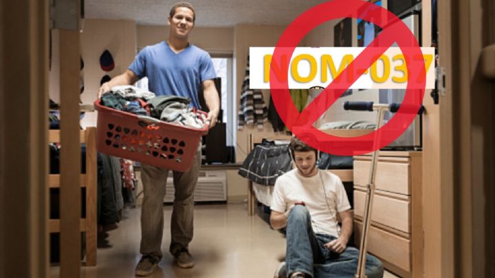 ¿Vives con rommies? La NOM 037 sobre el home office NO aplicaría para ti