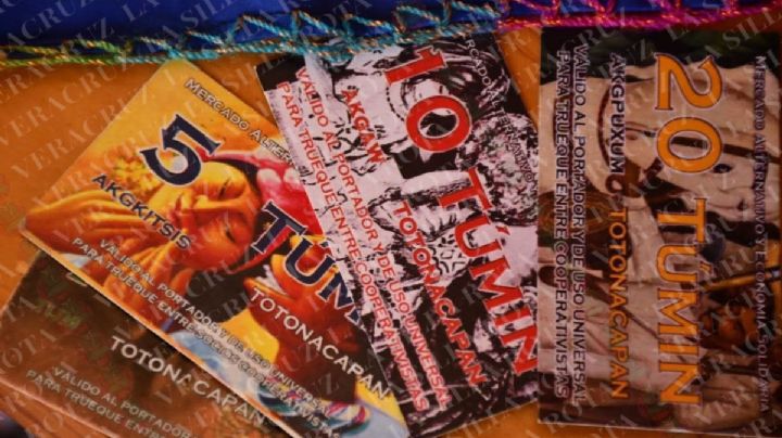 Alistan Séptima Feria del Túmin, moneda alterna de Veracruz