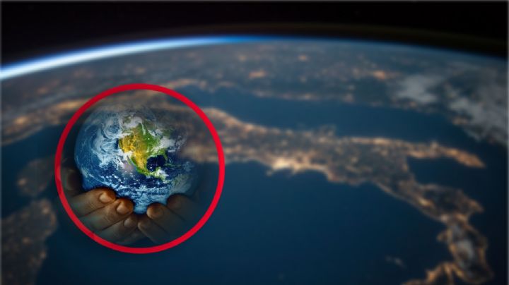 ¿Qué es la séptima EXTINCIÓN masiva de la Tierra?