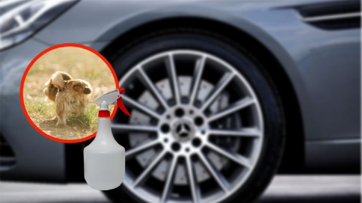 ¿Harto de que los perros orinen las llantas de tu carro? Esta es la solución