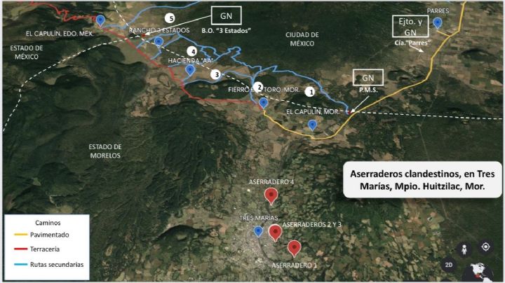 Tala ilegal de árboles: Reforma al Código Penal endurecerá sanción en CDMX