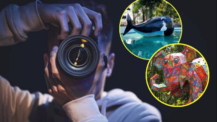 Concurso "Tu Foto en la Cuauhtémoc": ¿Cómo participar y cuales son los premios?