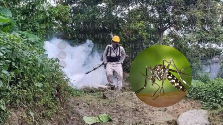 Con 23 contagios, Poza Rica es el sexto lugar en casos de dengue