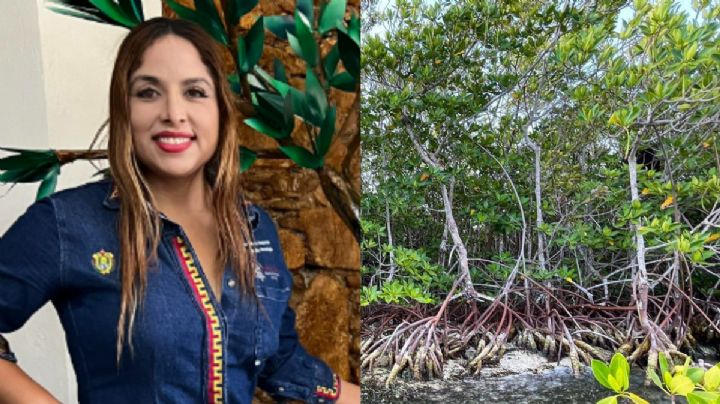 Talan 74 árboles de mangle en Pueblo Viejo: denuncia alcaldesa