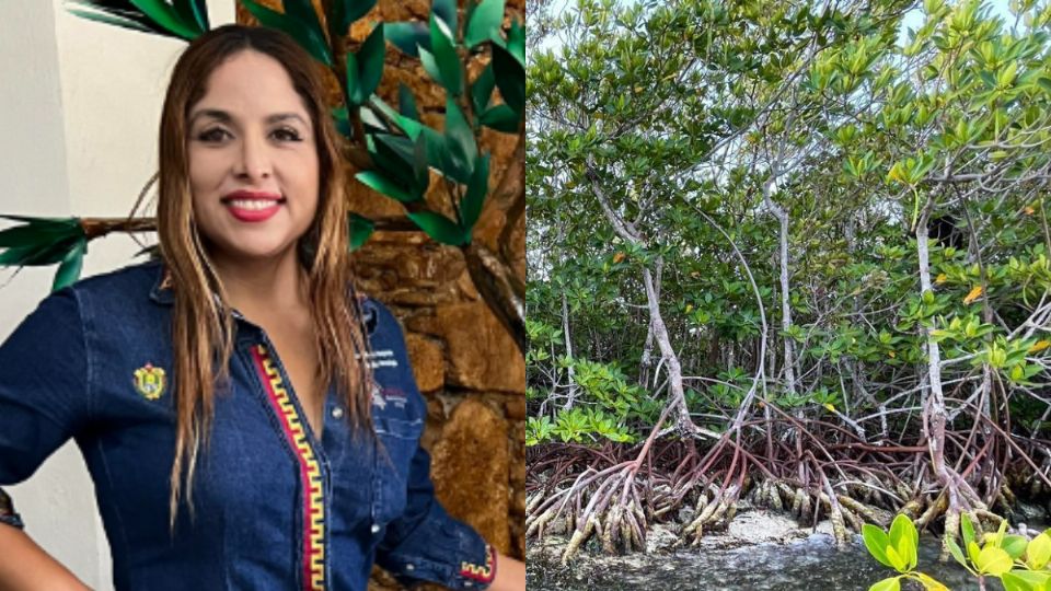 Alcaldesa de Pueblo Viejo habla sobre la tala de mangle